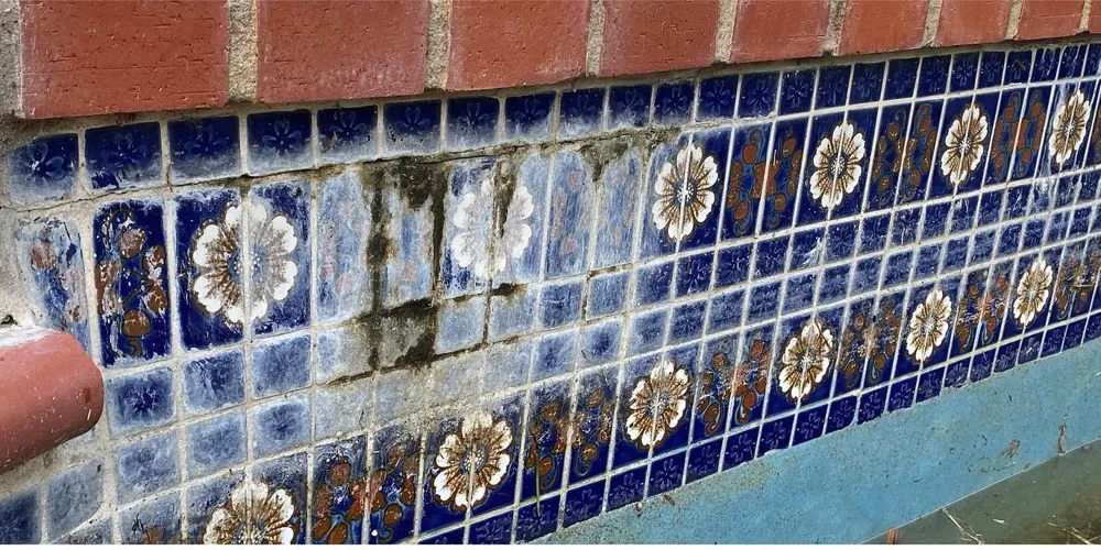 Before: Talavera-pattern pool tile covered in hazy calcium buildup